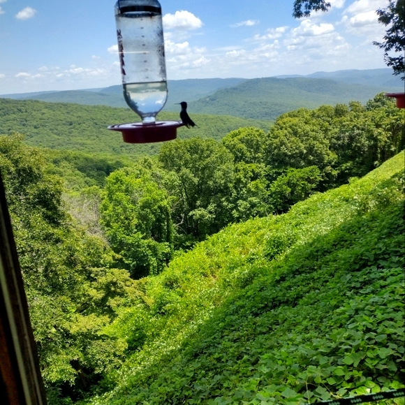 Meet your Posher, Brian - Picture 1 of 3